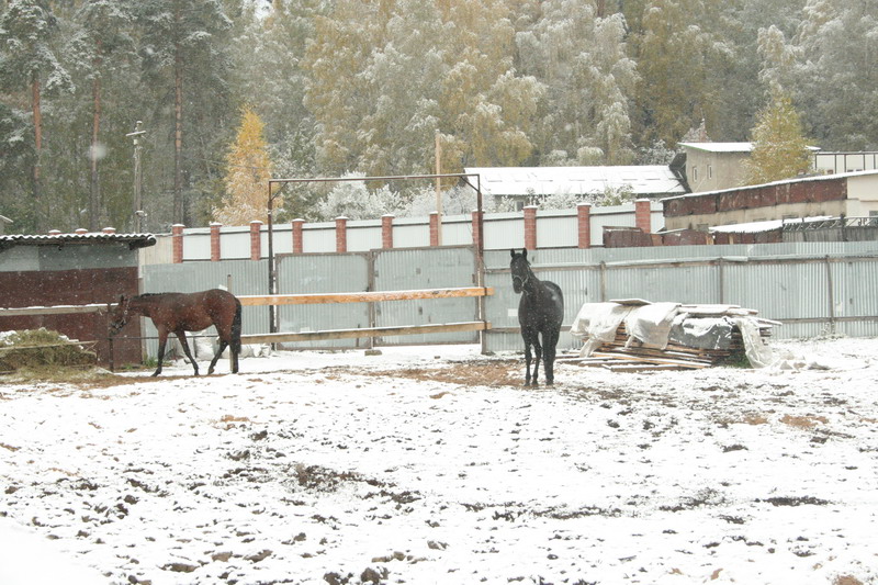 IMG_0773.jpg1.jpg"%20height="533"%20width="800